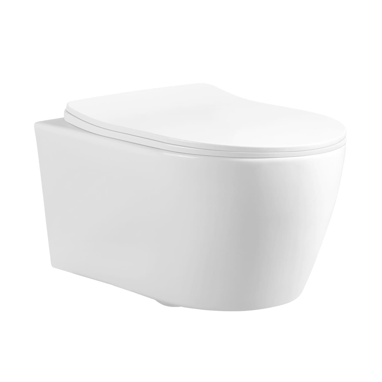 Сиденье с крышкой для унитаза Roca Leon ZRU9302943